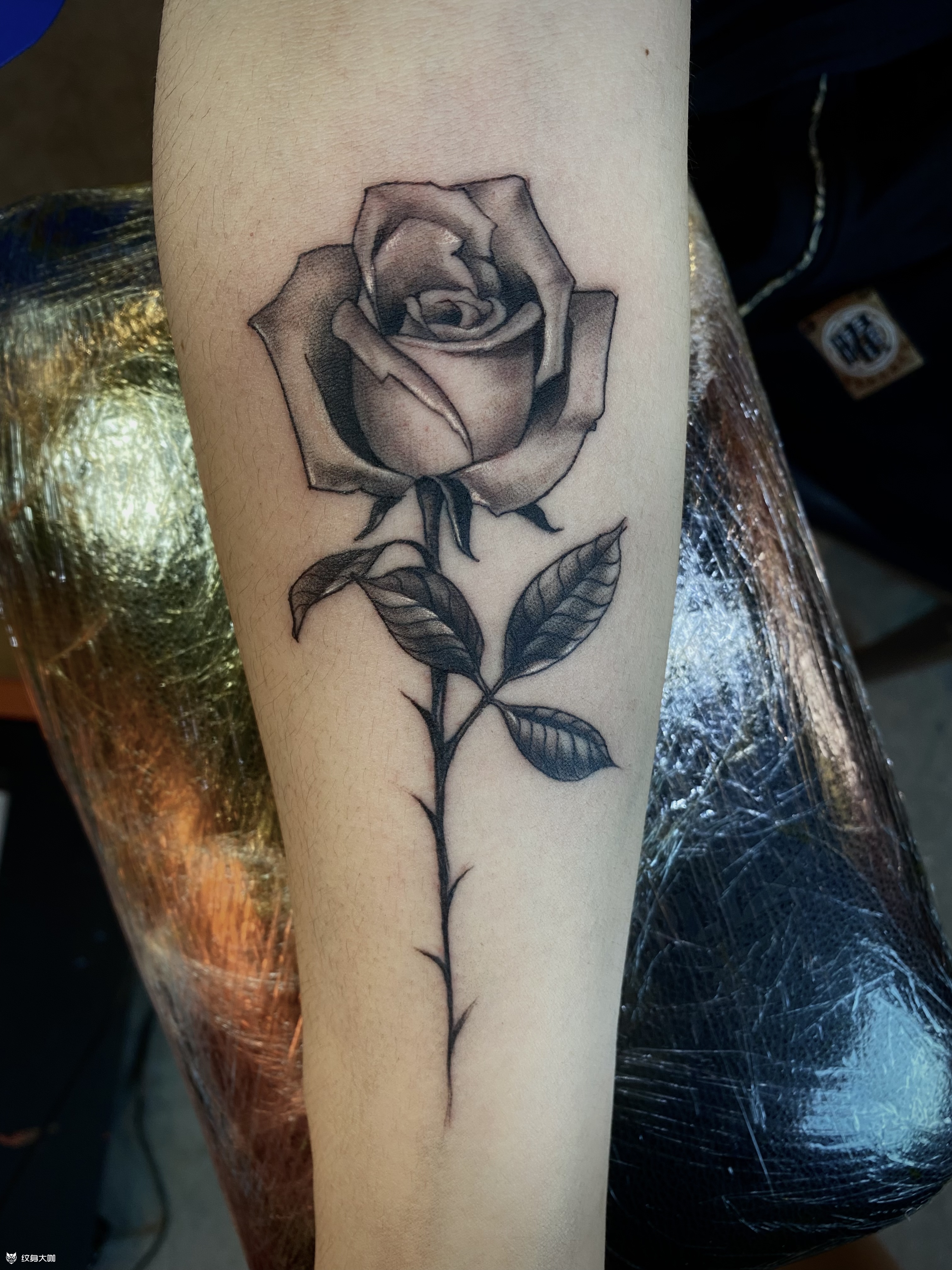 玫瑰_纹身图案手稿图片_随蓝的纹身作品集