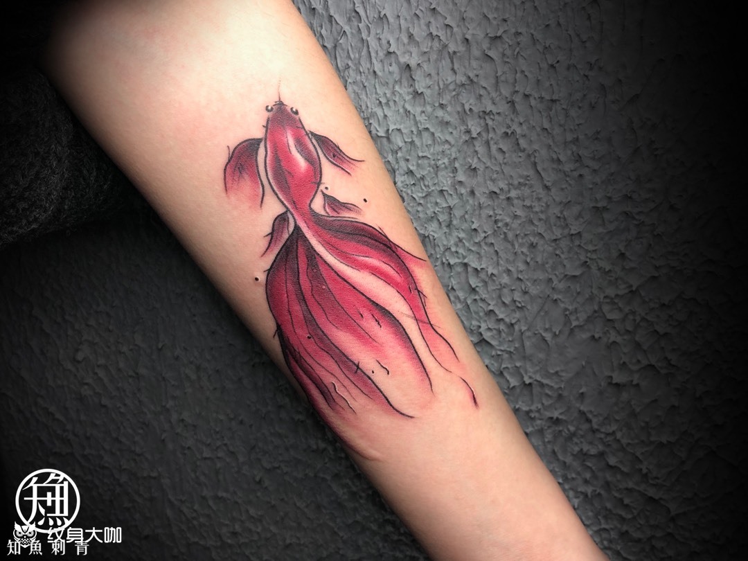 水彩金鱼_纹身图案手稿图片_十七的纹身作品集
