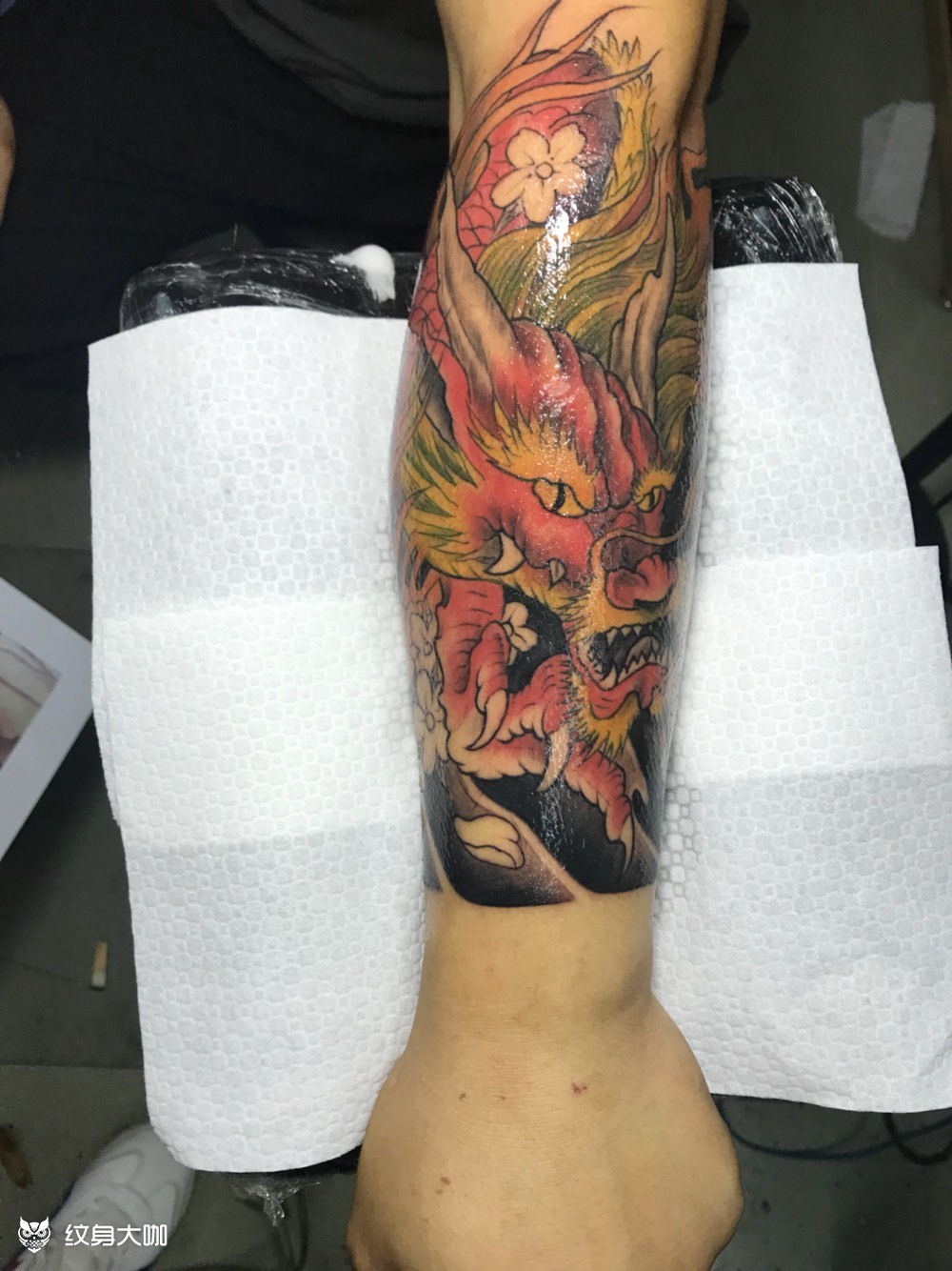 小臂龙_纹身图案手稿图片_雕乾18674119551的纹身作品集