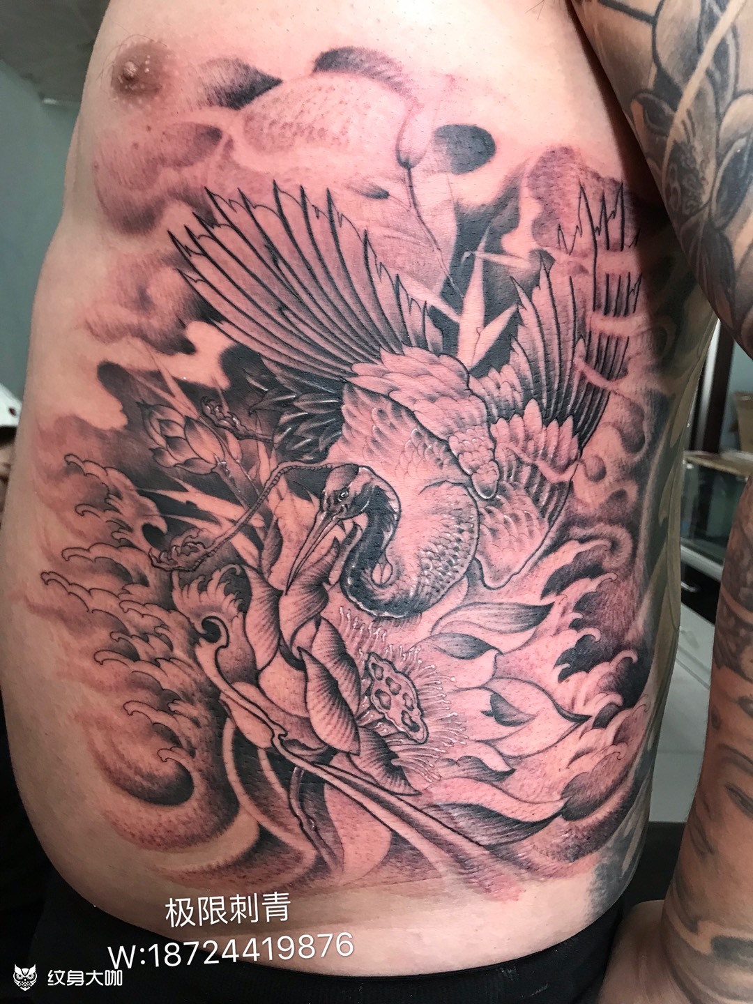 仙鹤_纹身图案手稿图片_王龙的纹身作品集