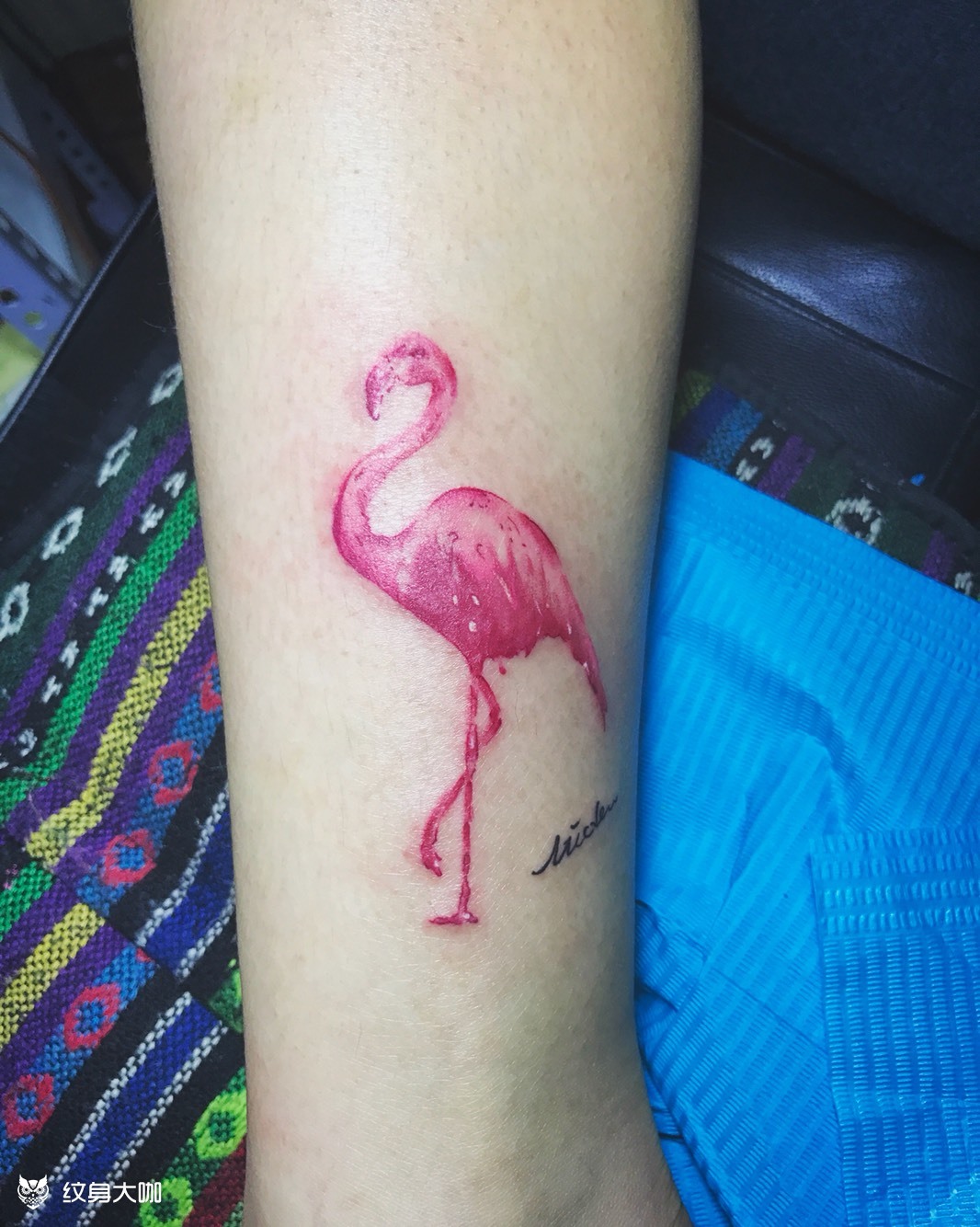 火烈鸟_纹身图案手稿图片_trisha的纹身作品集