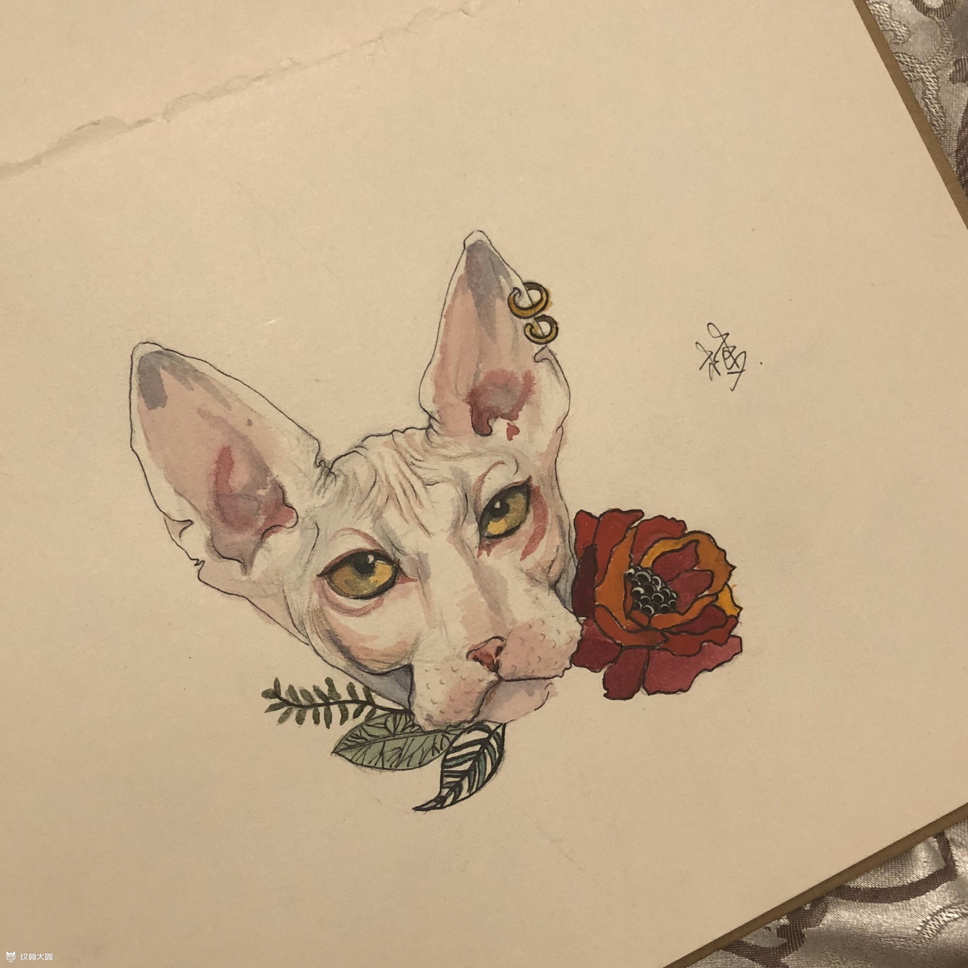 斯芬克斯猫_纹身图案手稿图片_梦醒的纹身作品集