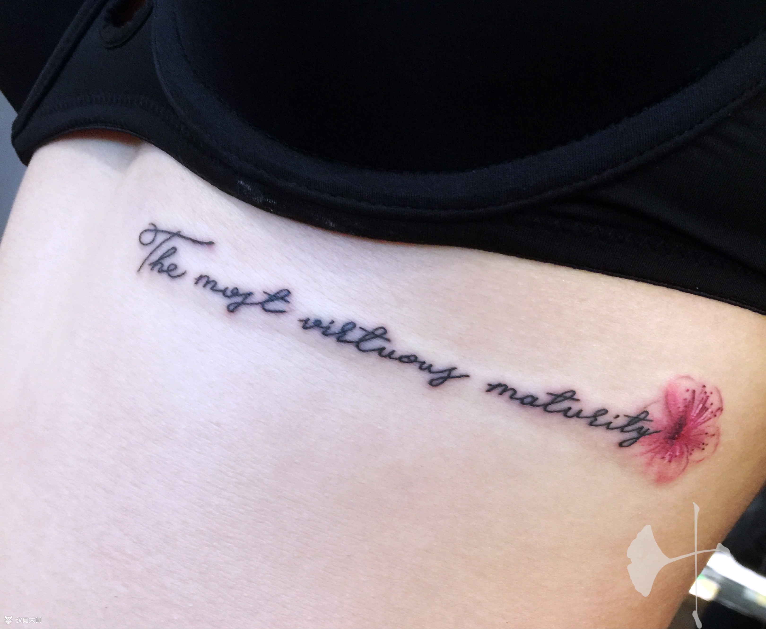 胸下英文小花_纹身图案手稿图片_freya 叶子的纹身作品集