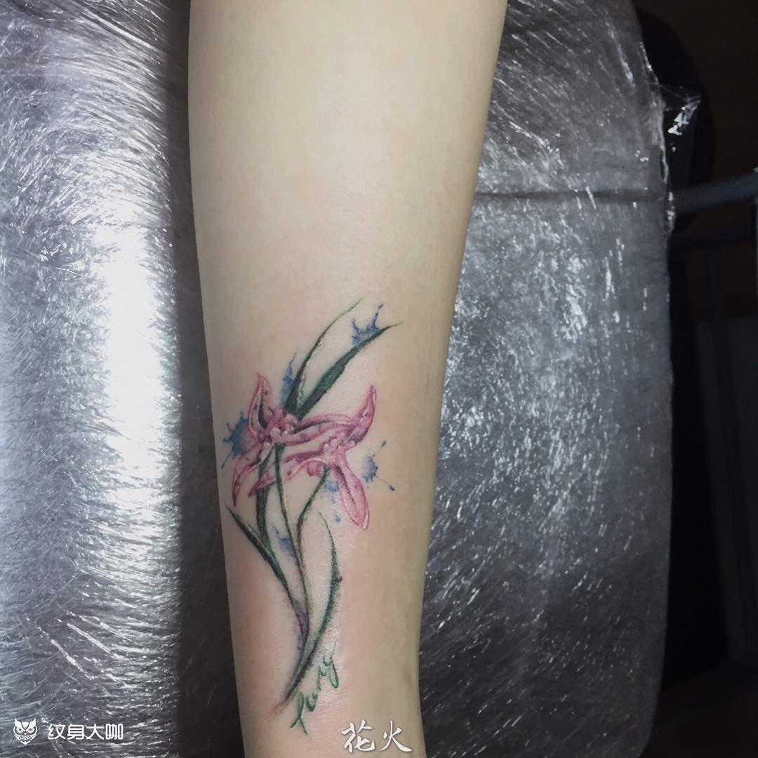 兰_纹身图案手稿图片_花火的纹身作品集