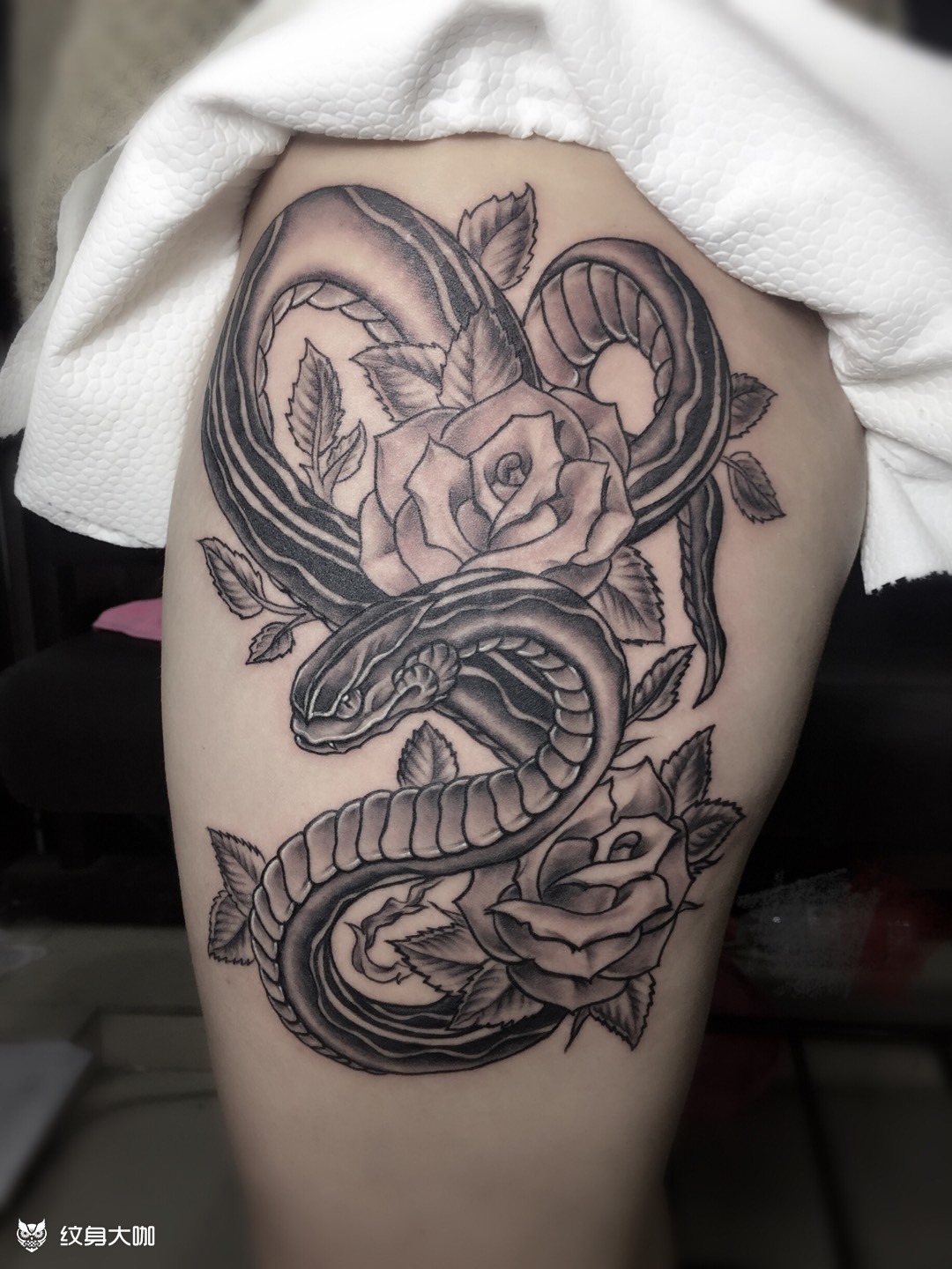 蛇与花_纹身图案手稿图片_夜行堂的纹身作品集