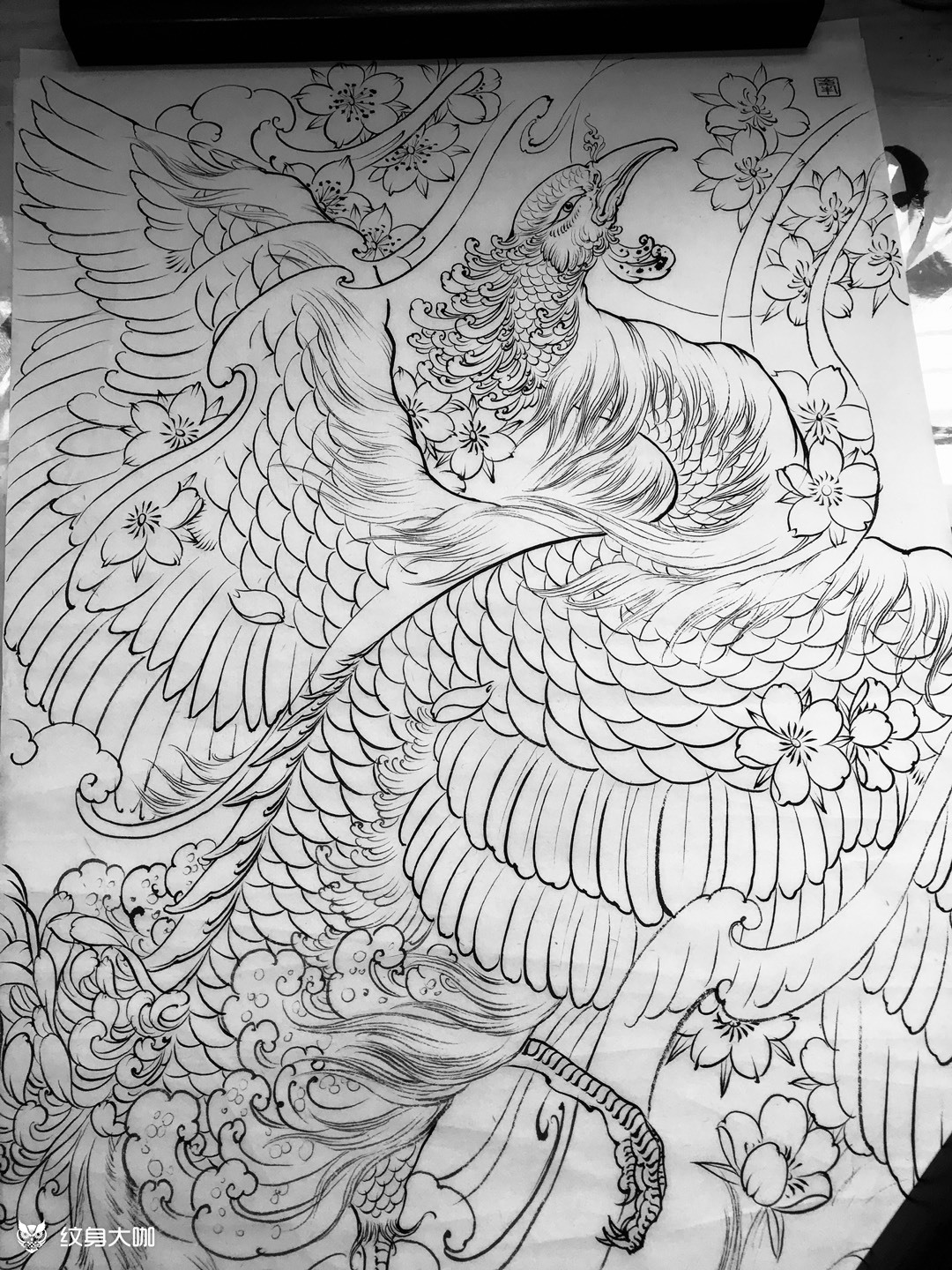 丹凤朝阳_纹身图案手稿图片_清峰的纹身作品集