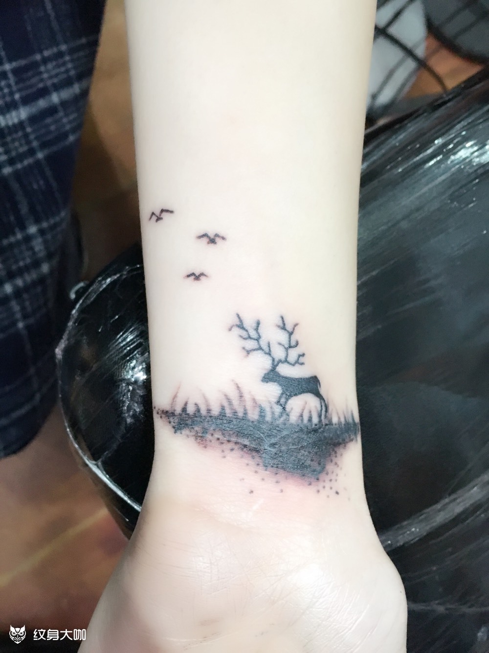 小鹿遮盖_纹身图案手稿图片_广州墨客tattoo的纹身作品集