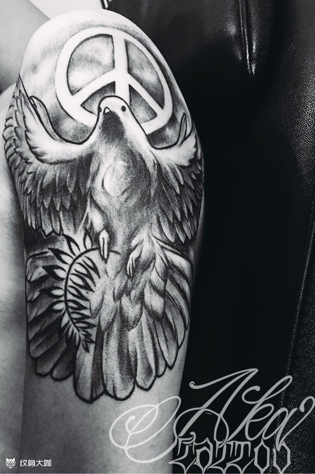 和平鸽_纹身图案手稿图片_啊光光的纹身作品集