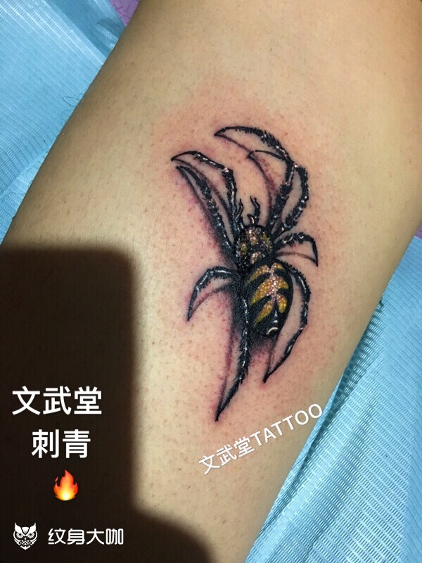 大腿内侧"蜘蛛"_纹身图案手稿图片_武林的纹身作品集