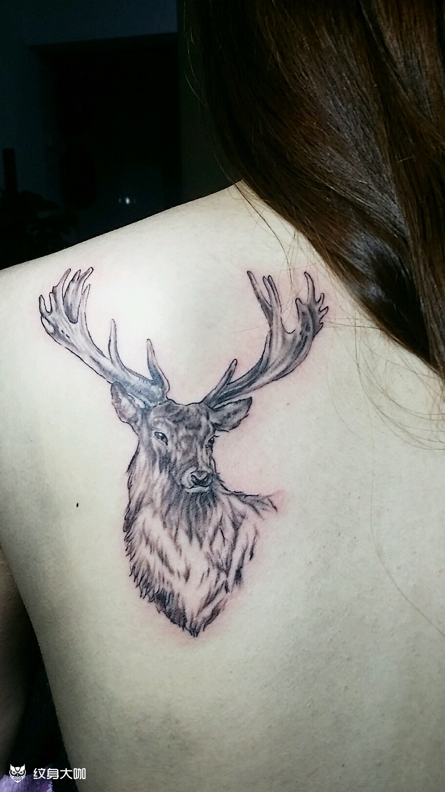 麋鹿纹身