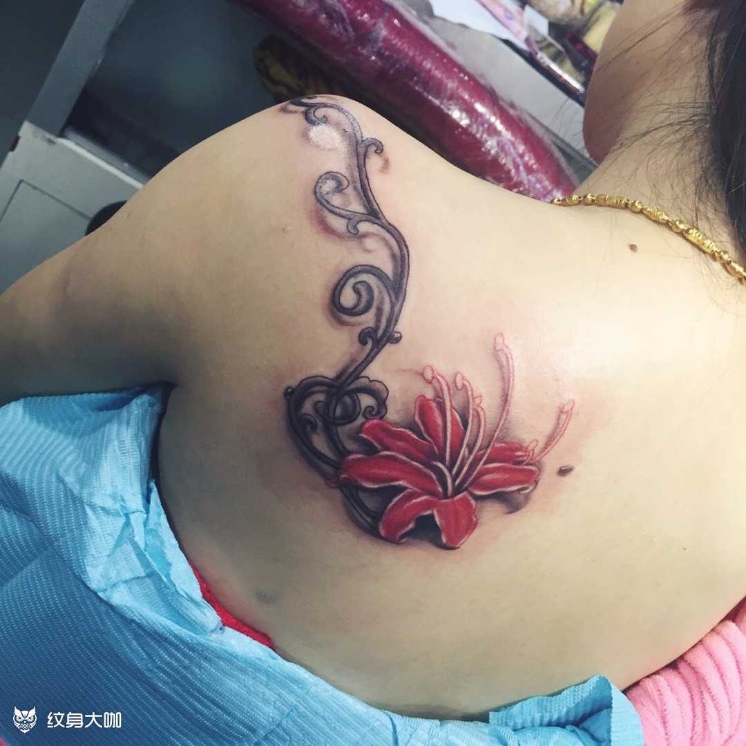 后肩胛百合花_纹身图案手稿图片_龙啸堂的纹身作品集