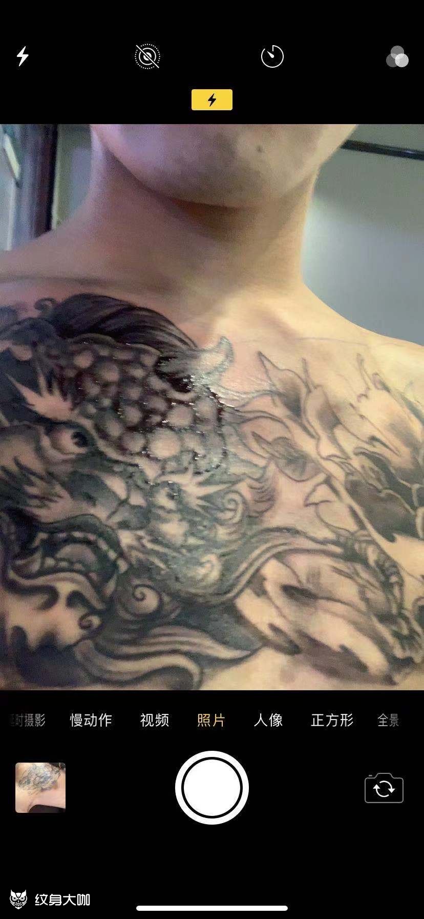 花胸唐狮之前做过一次 毁的很过_纹身吧社区 - 纹身大咖