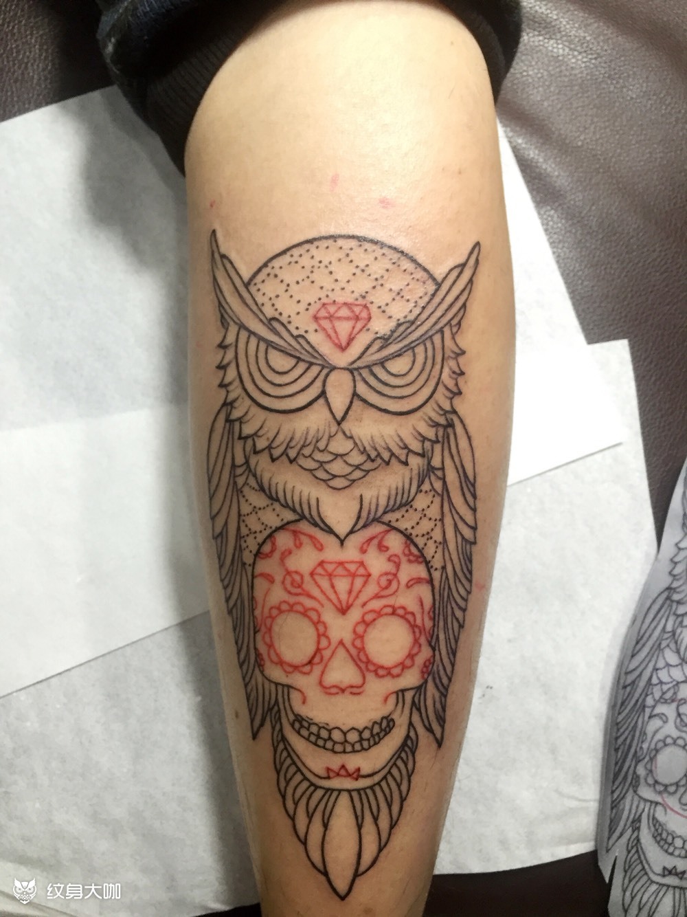 线条猫头鹰_纹身图案手稿图片_橙子姐姐06的纹身作品集