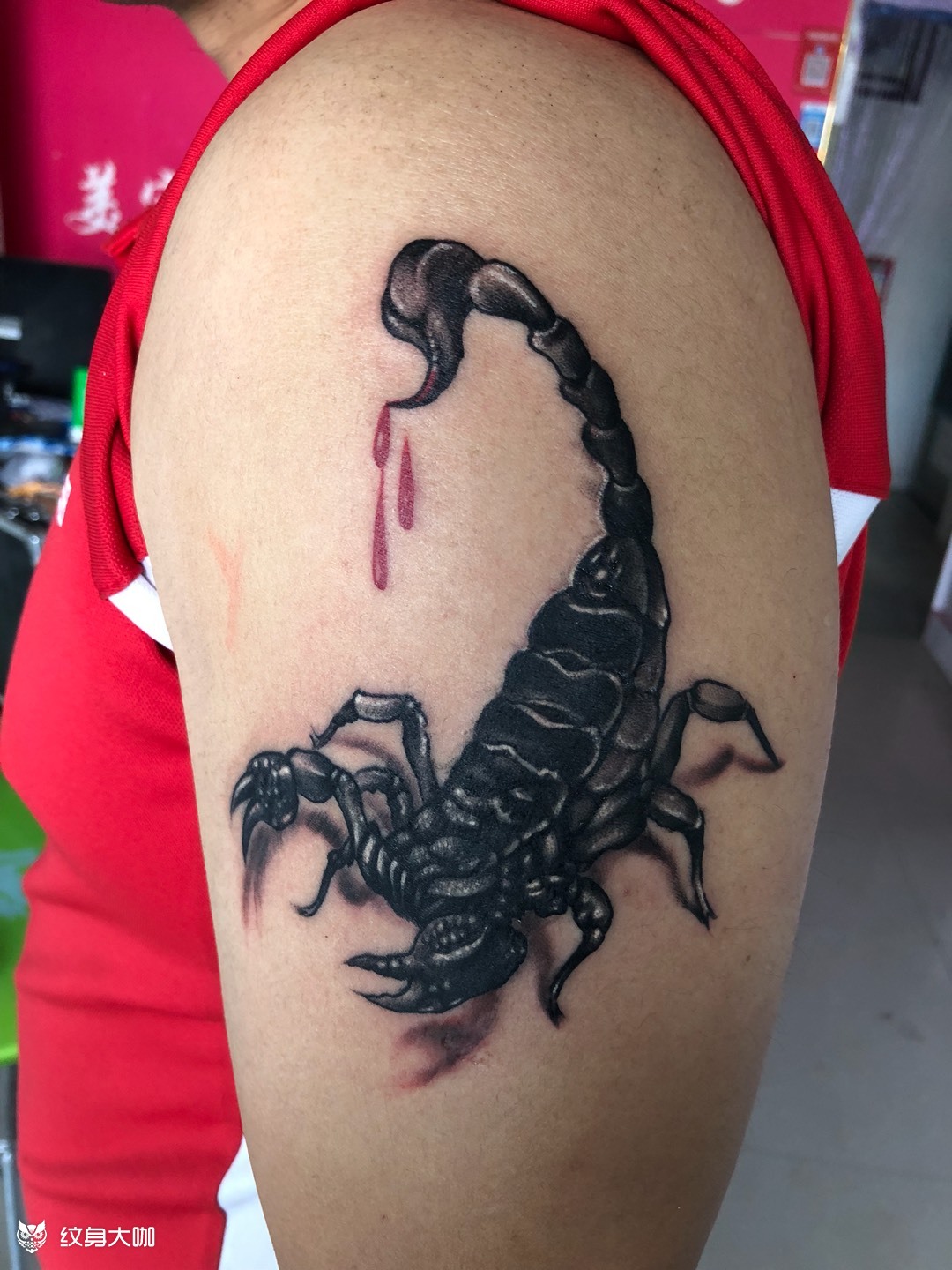 特价300_纹身图案手稿图片_刘仁龙的纹身作品集