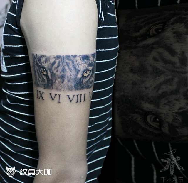 老虎臂环_纹身图案手稿图片_草莓的纹身作品集
