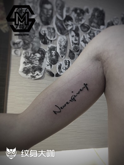 作品简介:nevergiveup