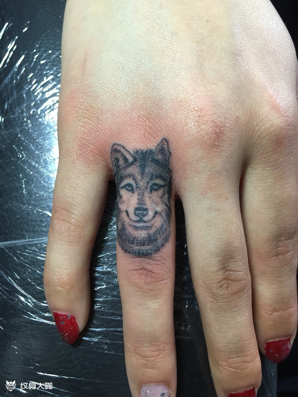 手指头上的狼头_纹身图案手稿图片_孟令成的纹身作品集