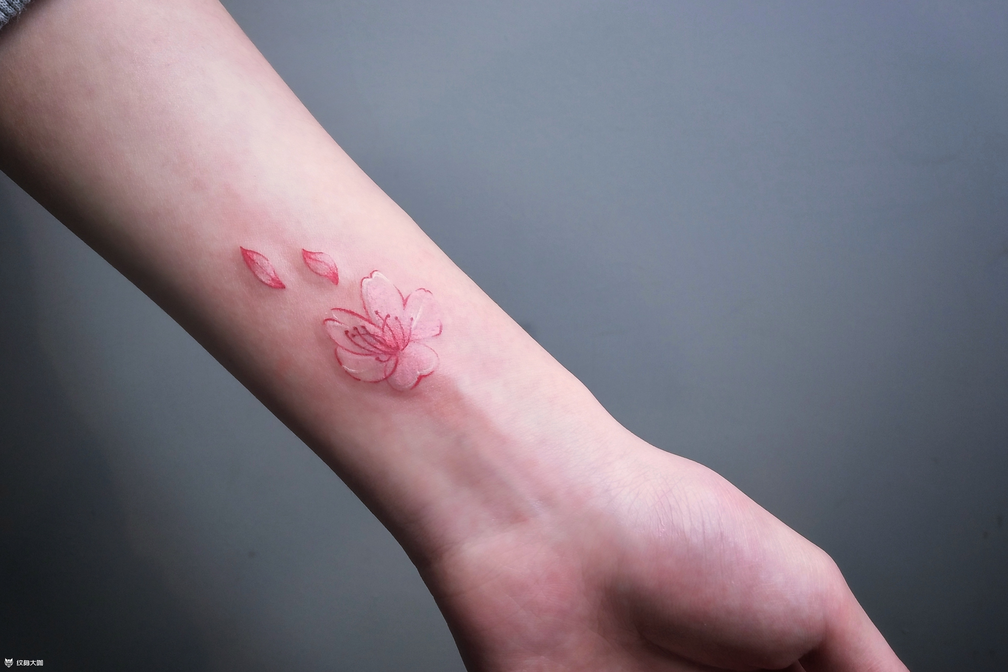 樱花_纹身图案手稿图片_是小雪啦的纹身作品集