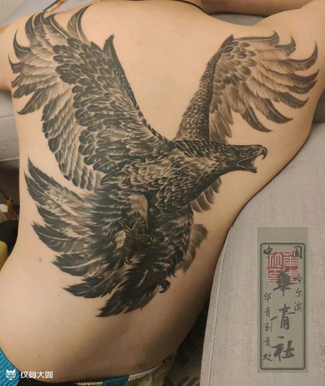 大鹏鸟_纹身图案手稿图片_华青社的纹身作品集