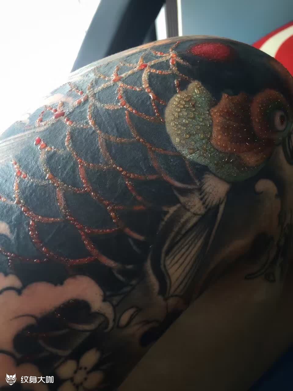 鱼95_纹身图案手稿图片_武江的纹身作品集