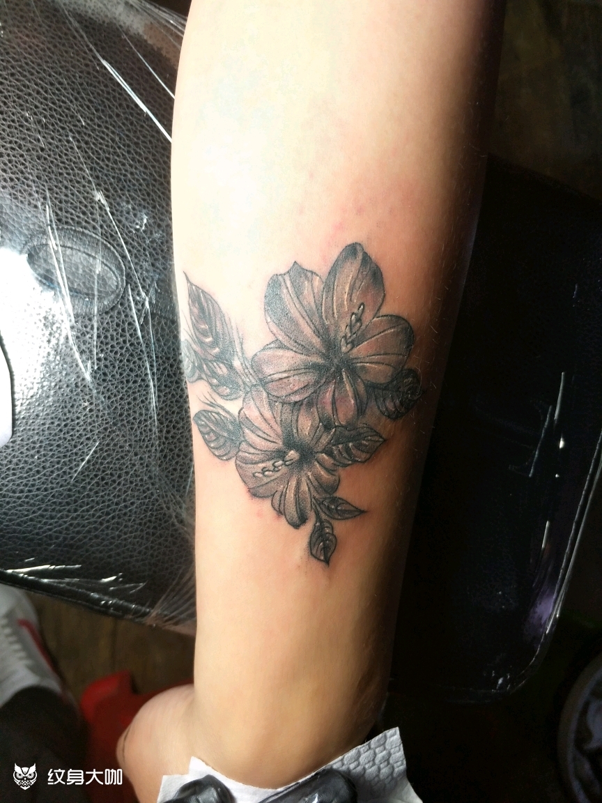 小臂花(伤疤遮盖)_纹身图案手稿图片_沭阳保利的纹身作品集