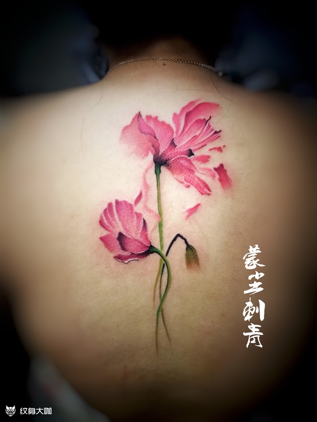 罂粟花_纹身图案手稿图片_刀鬼的纹身作品集