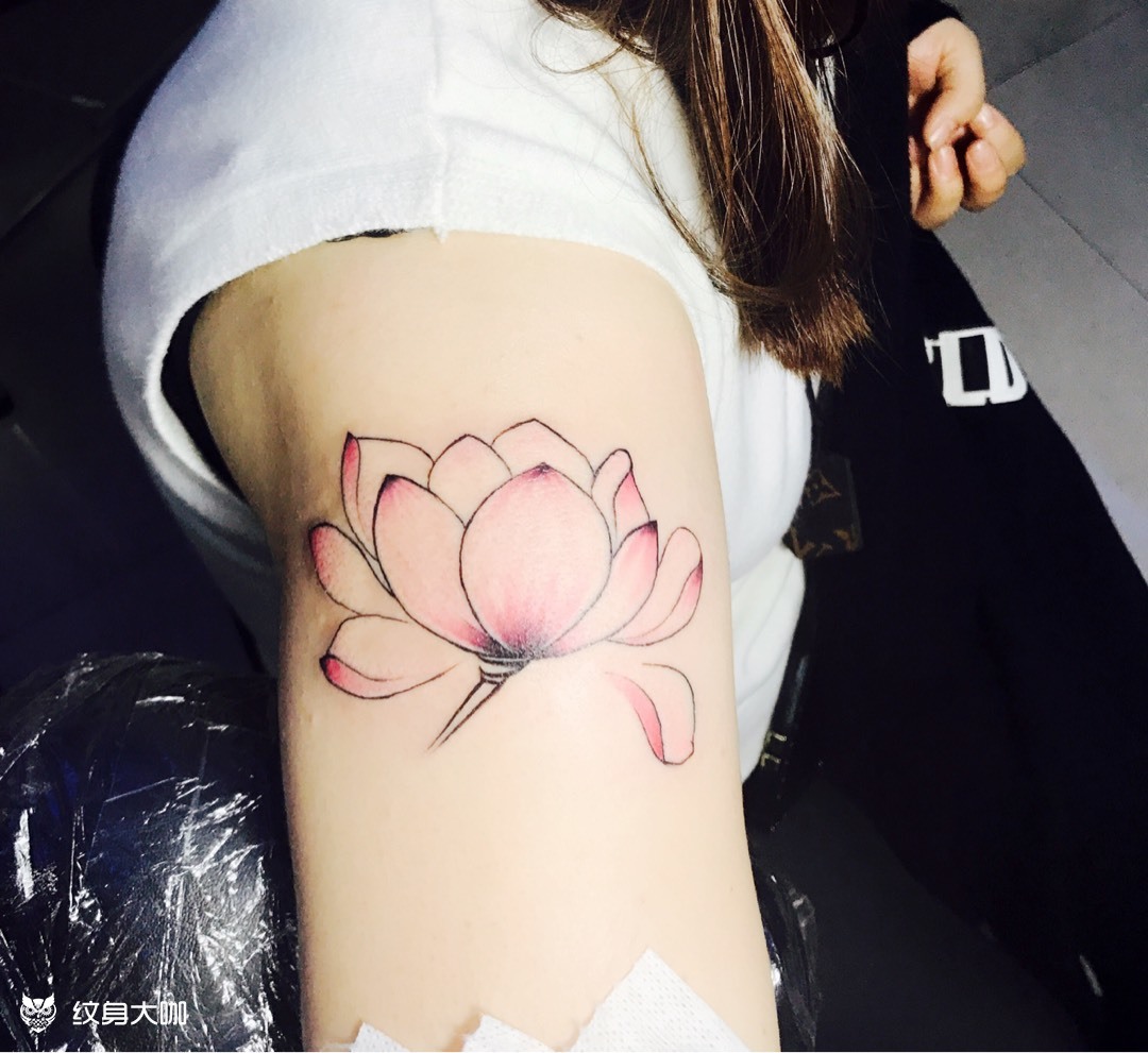 大臂荷花_纹身图案手稿图片_洋洋洋的纹身作品集