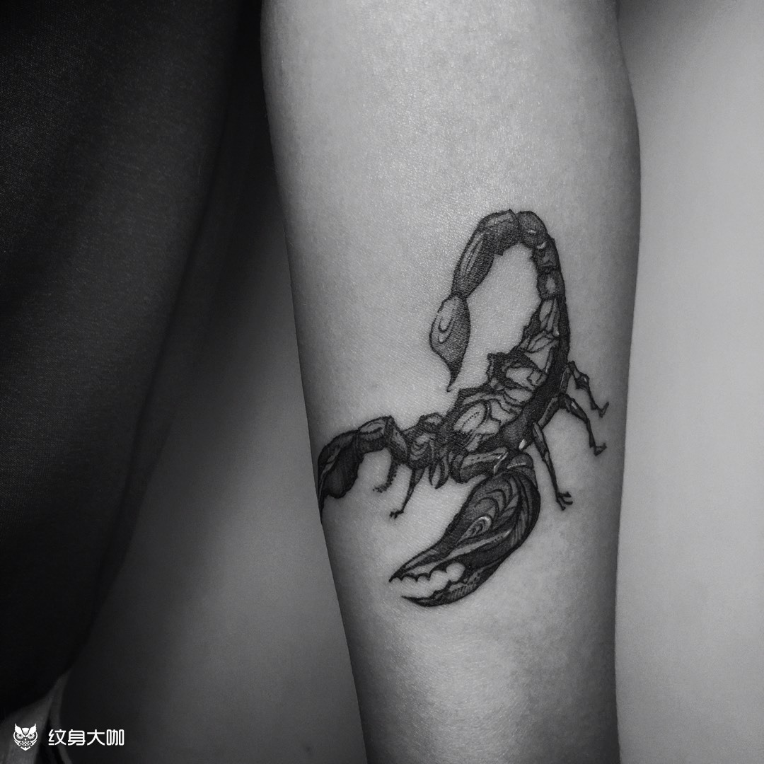 蝎子纹身手稿手上图片