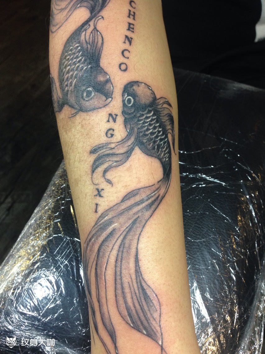 双鱼_纹身图案手稿图片_强的纹身作品集