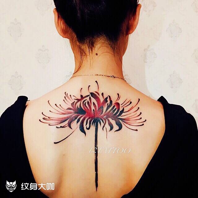 彼岸花纹刚纹好和恢复后_纹身图案手稿图片_廖东伟的纹身作品集