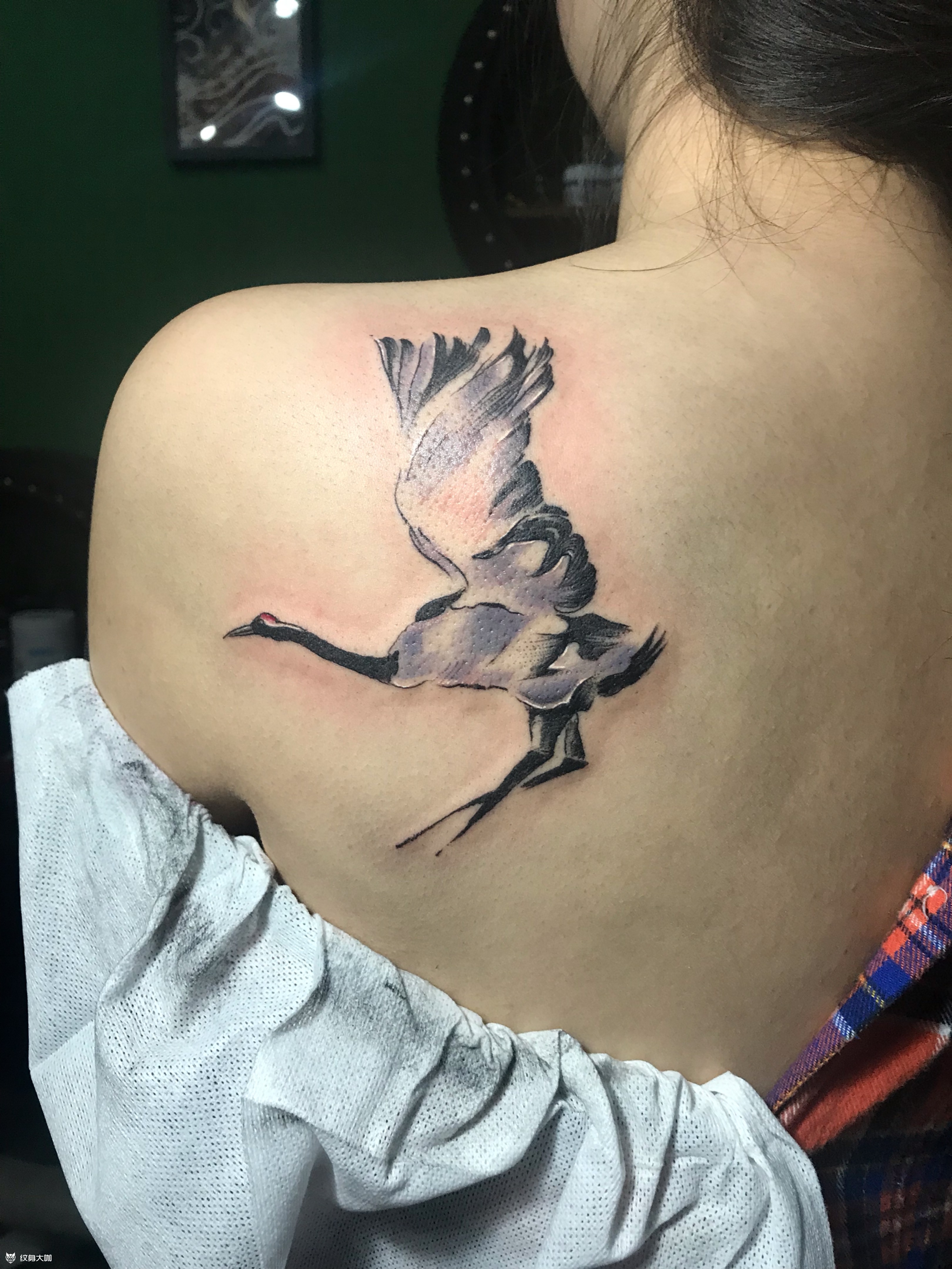 肩胛骨鹤_纹身图案手稿图片_吴禹澎的纹身作品集