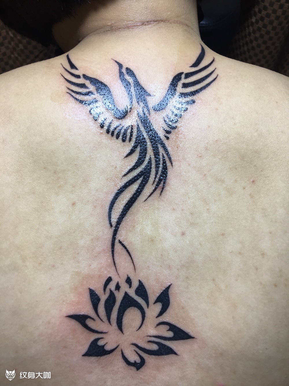 凤凰图腾_纹身图案手稿图片_贾雪东的纹身作品集