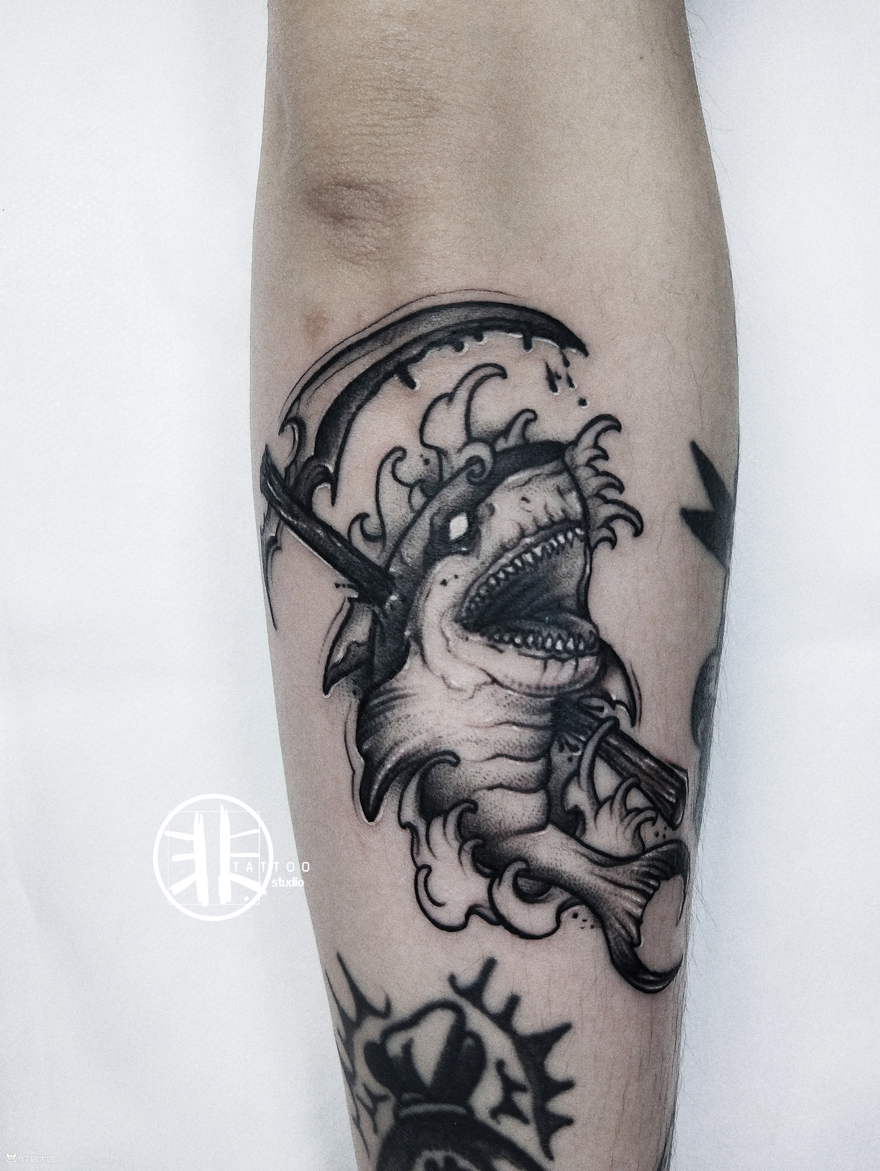 暗黑系鲨鱼_纹身图案手稿图片_关飞的纹身作品集