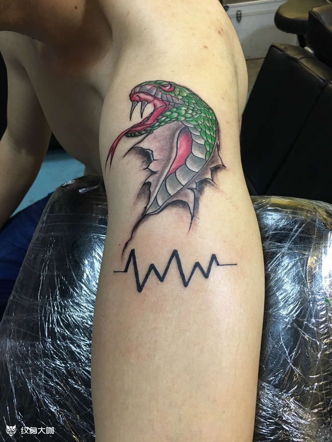 蛇头_纹身图案手稿图片_阿花的纹身作品集