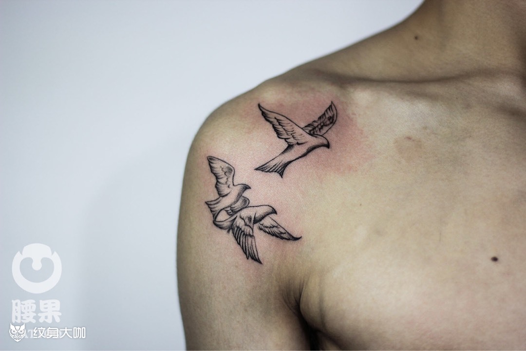 鸽子_纹身图案手稿图片_腰果的纹身作品集