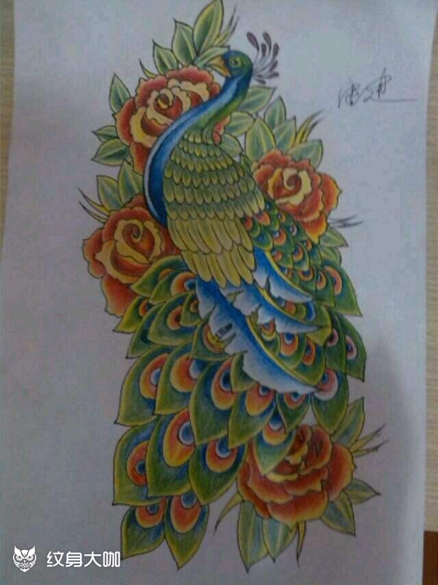 孔雀_纹身图案手稿图片_康建的纹身作品集