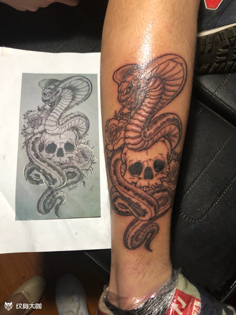 蛇与骷髅_纹身图案手稿图片_小楼的纹身作品集