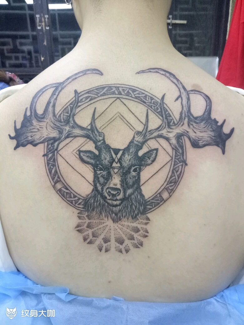 纹身图案手稿图片_燕子的纹身作品集