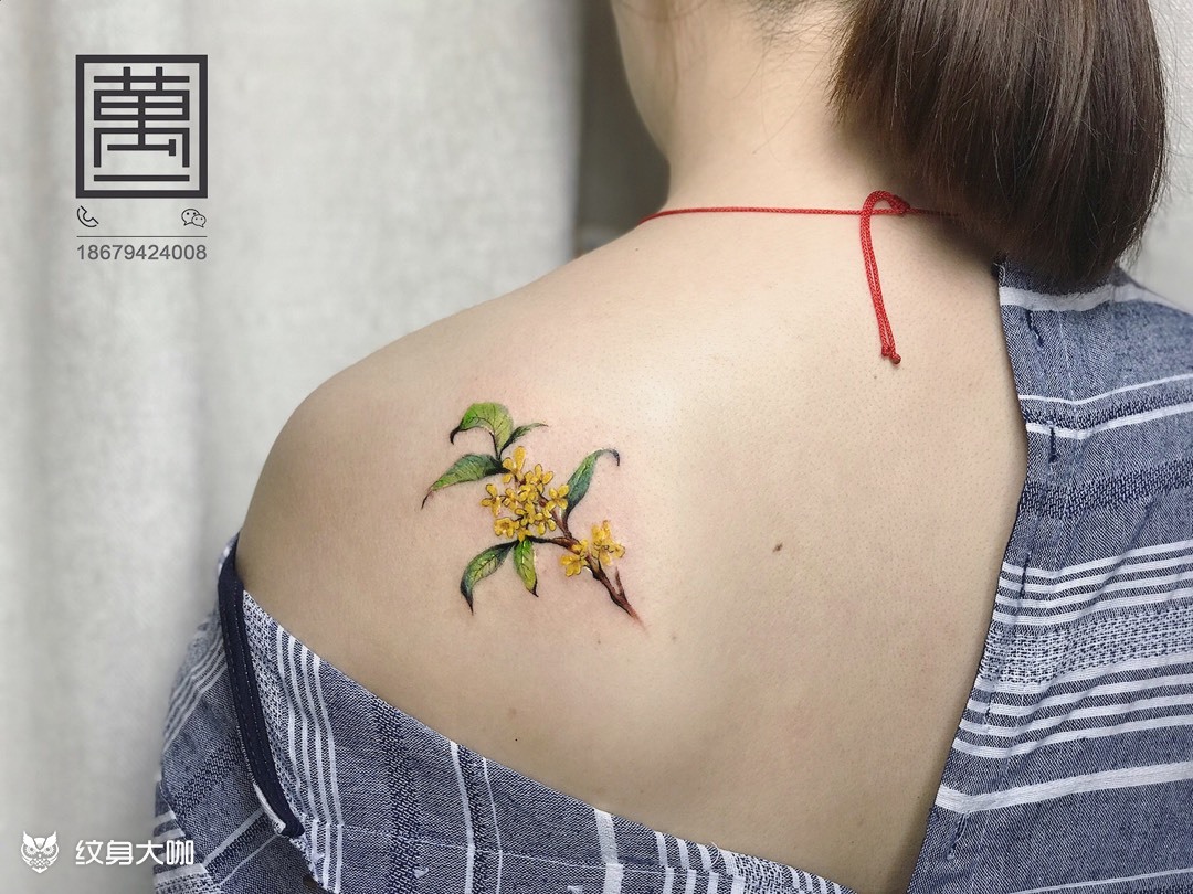 桂花_纹身图案手稿图片_万一的纹身作品集