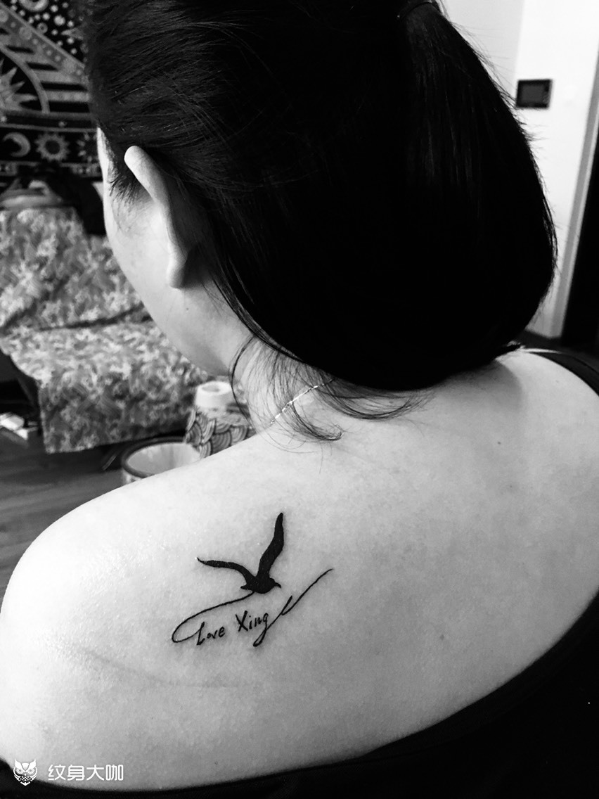 海鸥_纹身图案手稿图片_老羊的纹身作品集
