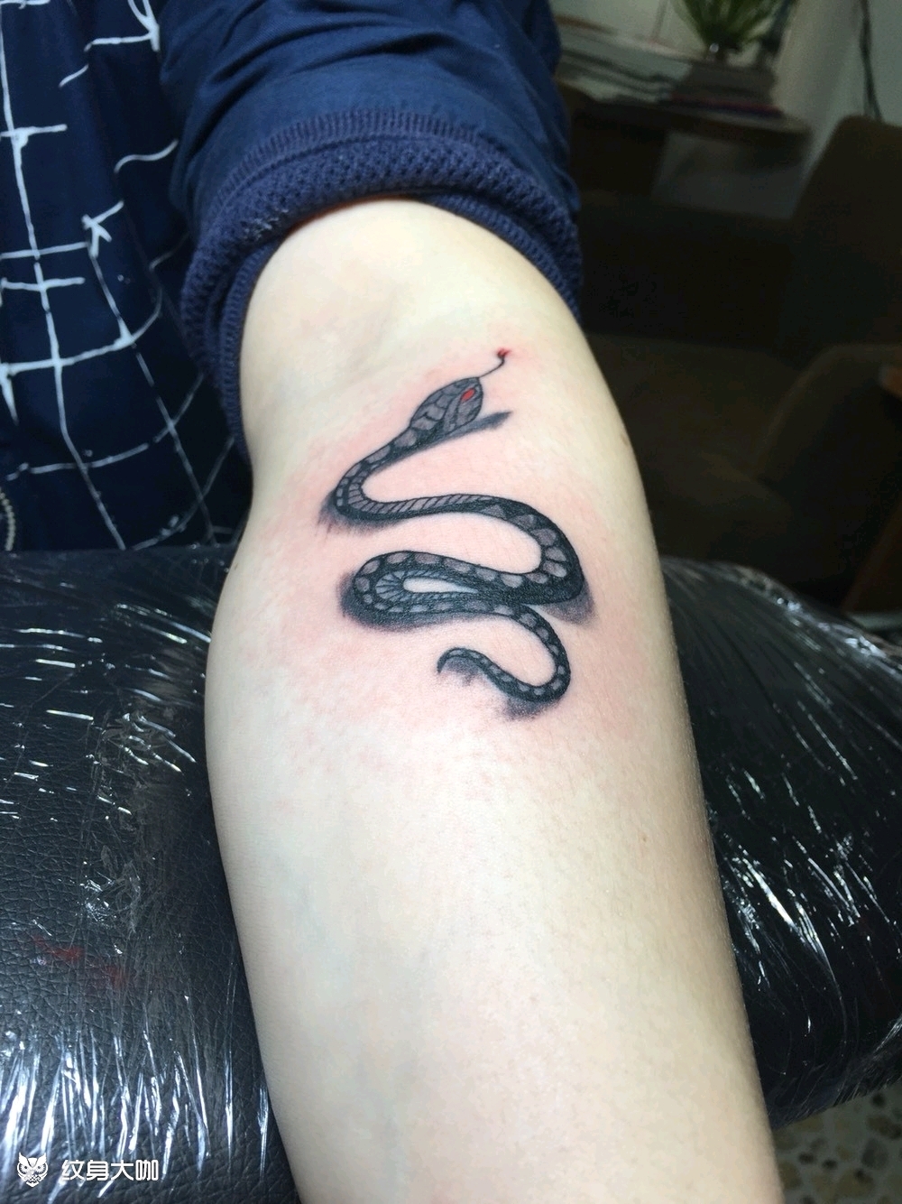 蛇_纹身图案手稿图片_罗明帅的纹身作品集