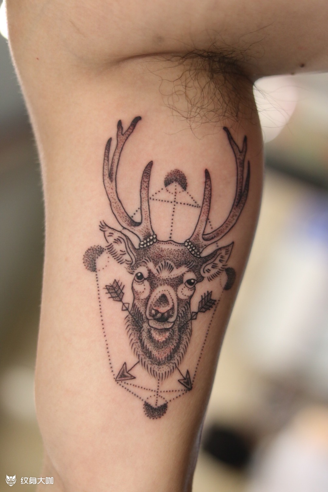 04鹿_纹身图案手稿图片_雕新的纹身作品集