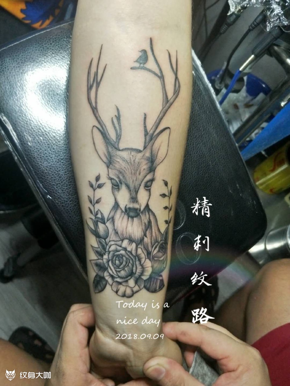 小鹿_纹身图案手稿图片_精刺纹路的纹身作品集