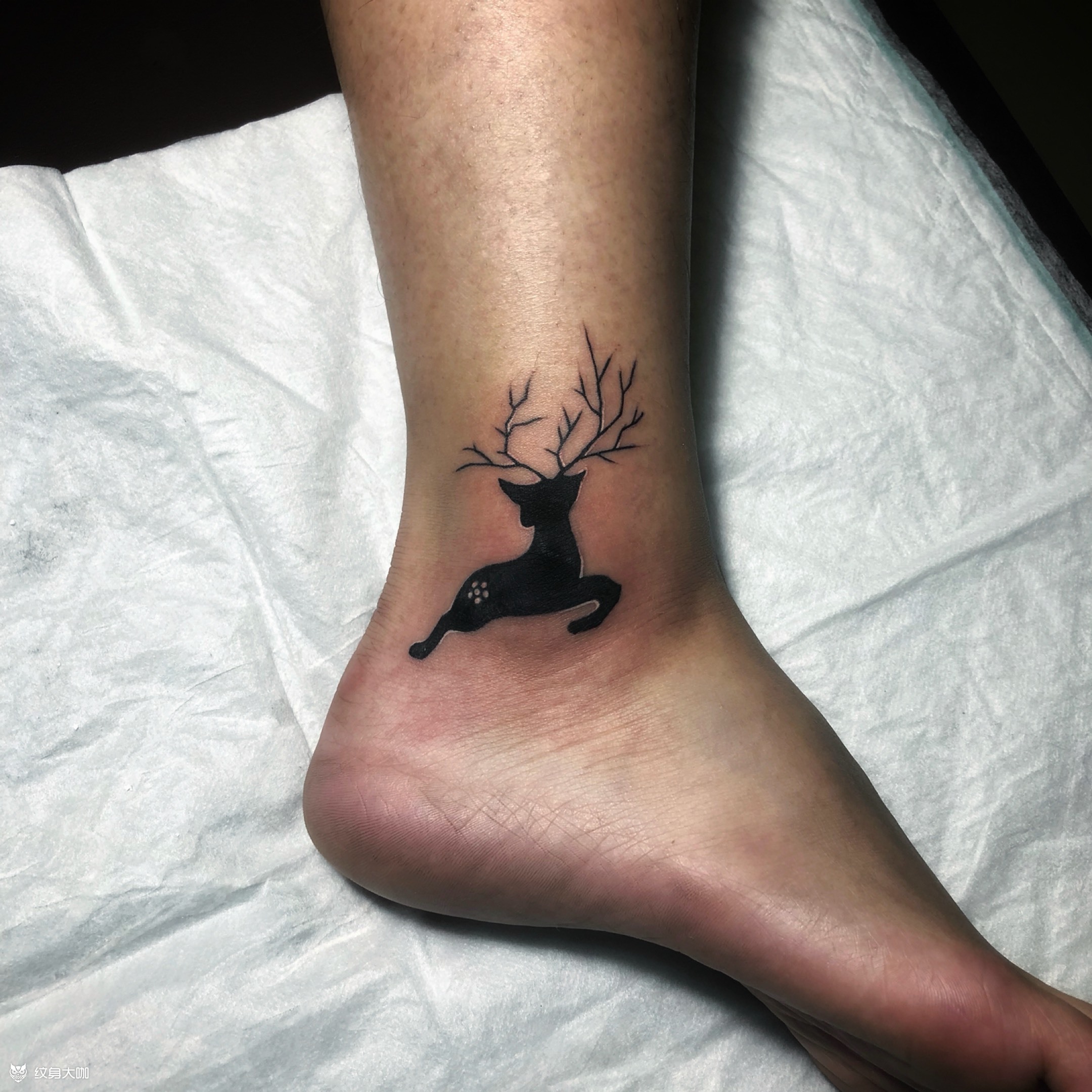 脚踝遮盖_纹身图案手稿图片_王的纹身作品集