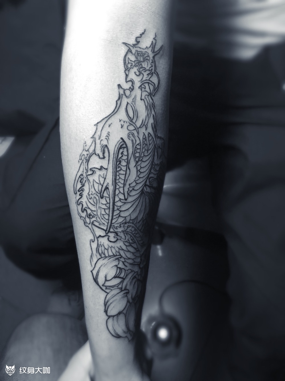 龙/走线_纹身图案手稿图片_liangzi的纹身作品集