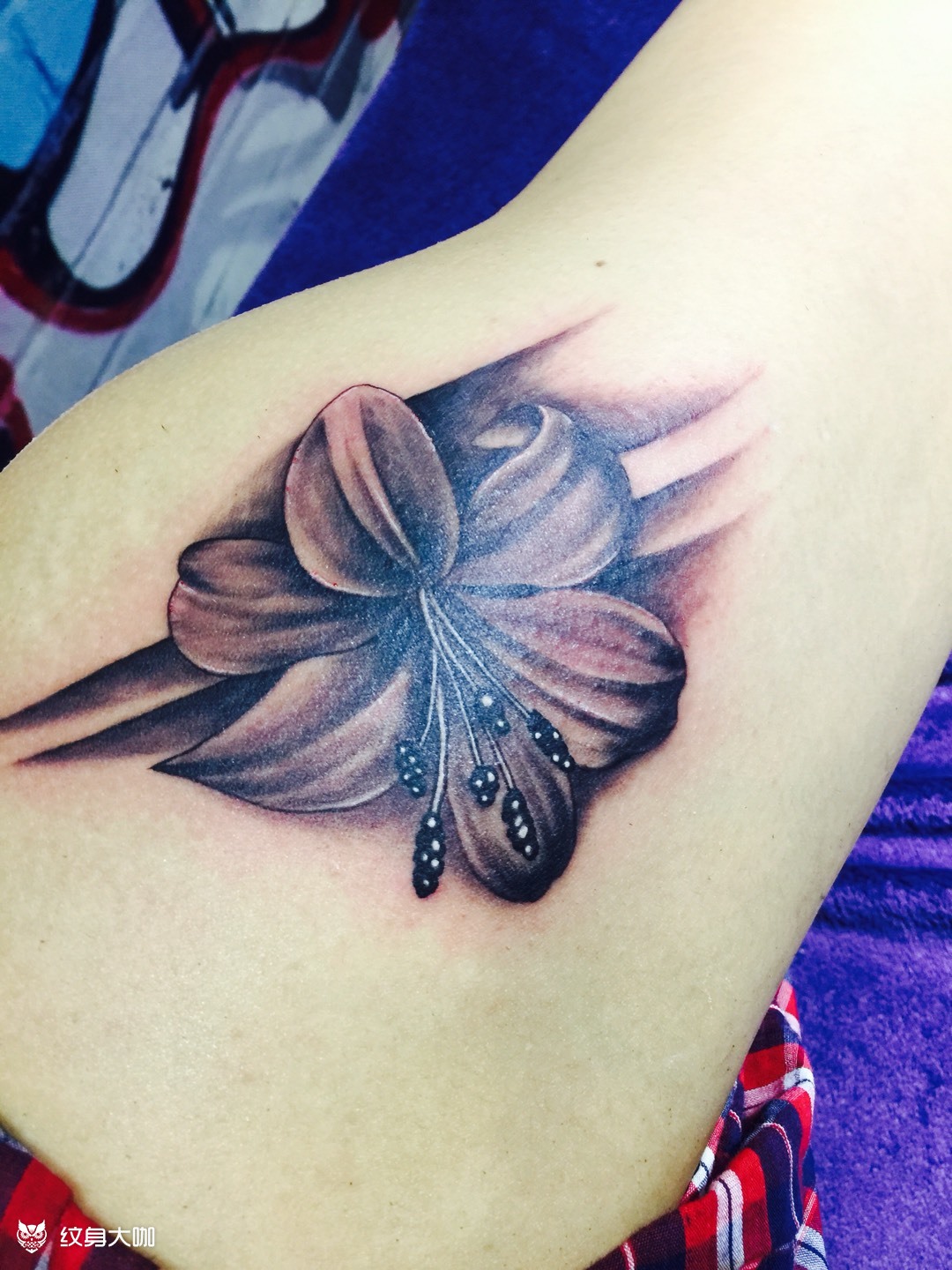 遮盖胎记的百合花_纹身图案手稿图片_大伟的纹身作品集