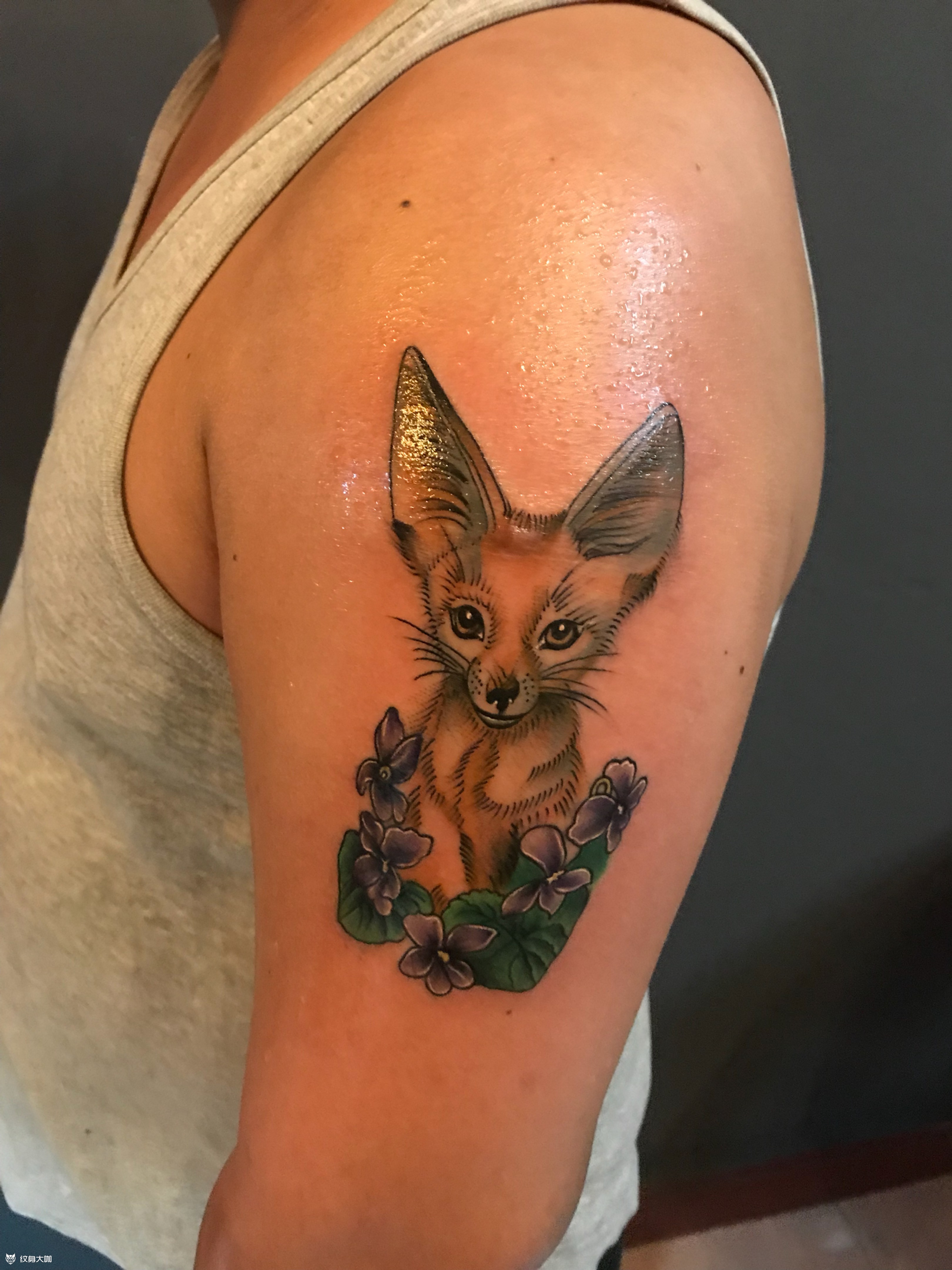 小狐狸_纹身图案手稿图片_尊贵堂 18的纹身作品集