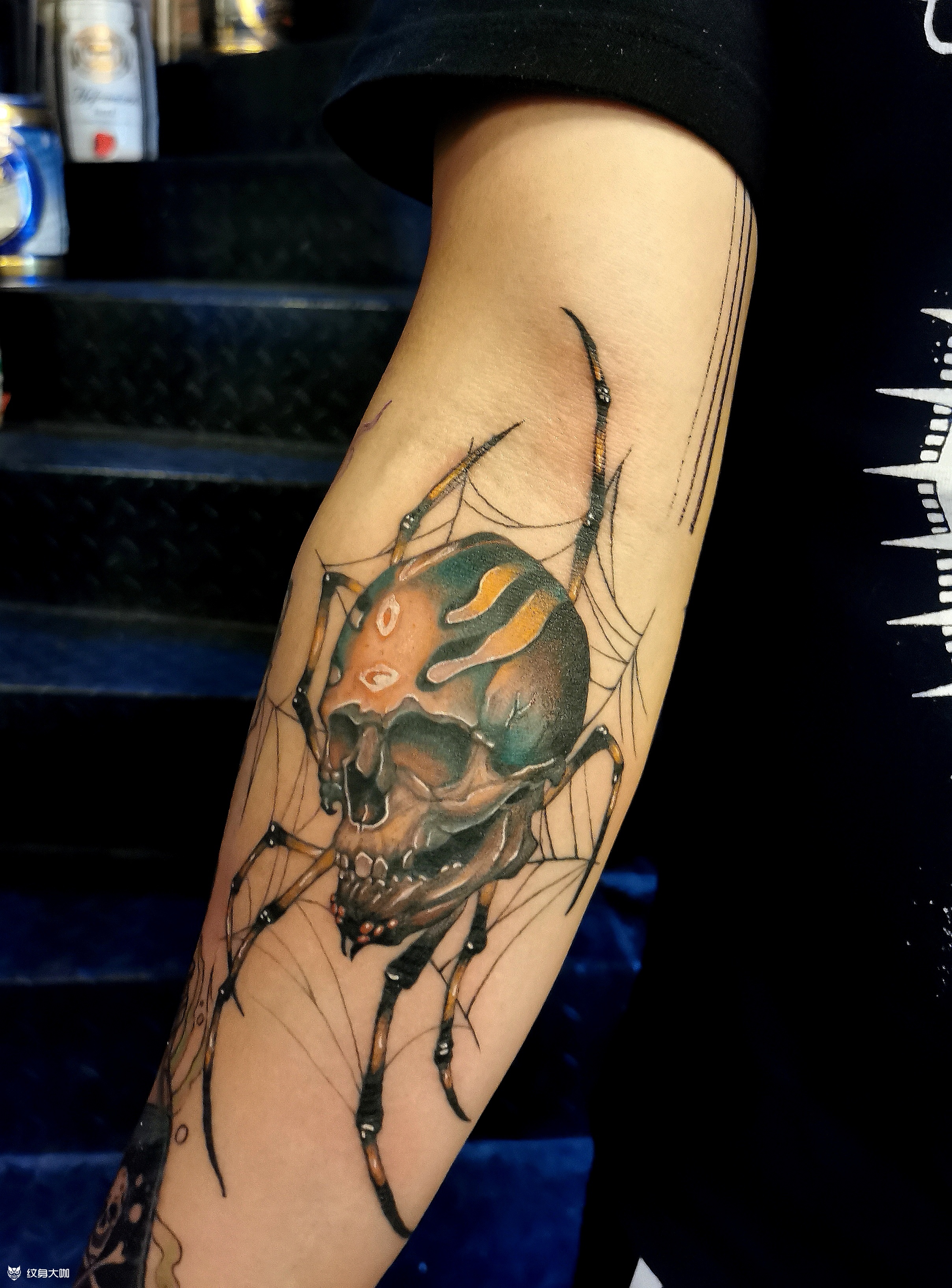 蜘蛛上彩_纹身图案手稿图片_黄旭的纹身作品集