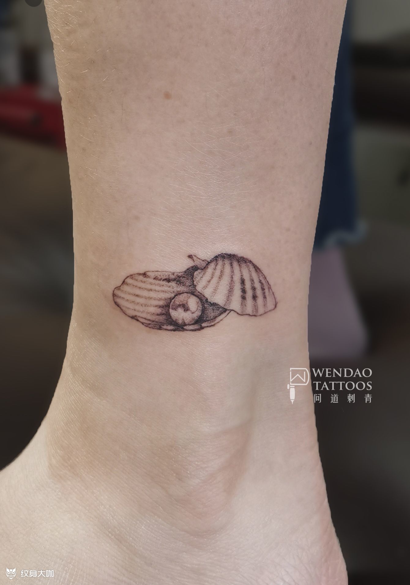 小贝壳_纹身图案手稿图片_问道的纹身作品集