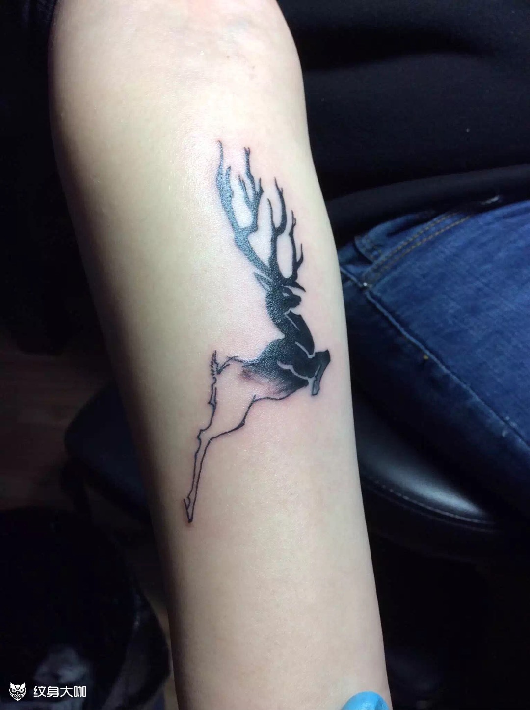 小小麋鹿_纹身图案手稿图片_玛雅-印堂的纹身作品集